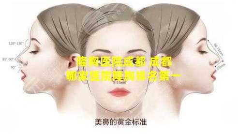 隆胸医院成都 成都哪家医院隆胸排名第一